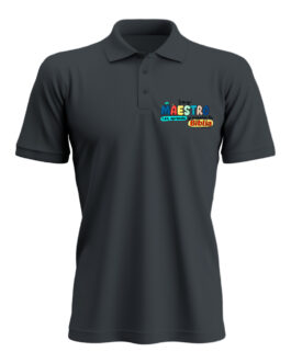 Polo Soy Maestro Letra