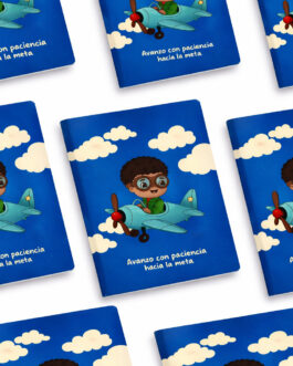 Avanzo con paciencia hacia la meta (Avión)